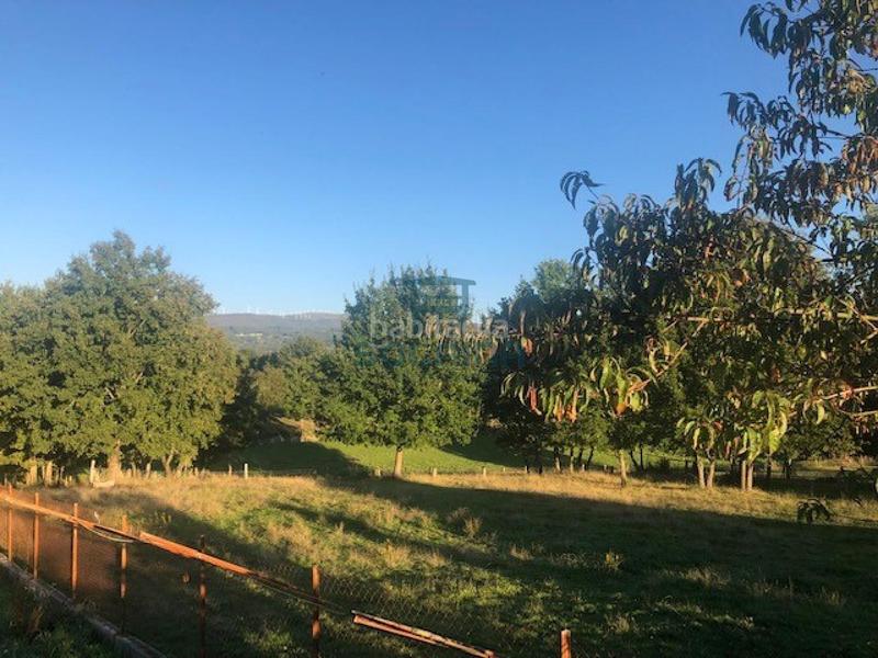 Foto 488c88ae-67cb-41d0-bfa5-d6fae8dc5d05. Wohngrundstück in Nogueira de Ramuín