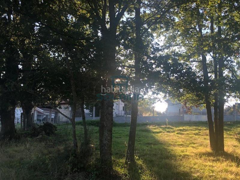 Foto 51cb6bb9-e86d-4f02-8d6f-66ceaa3cf149. Wohngrundstück in Nogueira de Ramuín