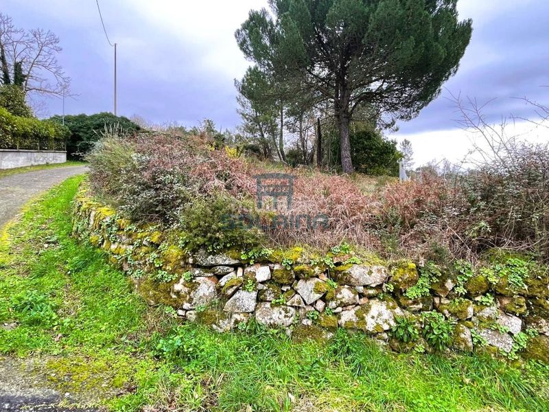 Foto b7f81102-af5a-4d61-818c-1eba5c427f38. Finca rústica a Pereiro de Aguiar (O)