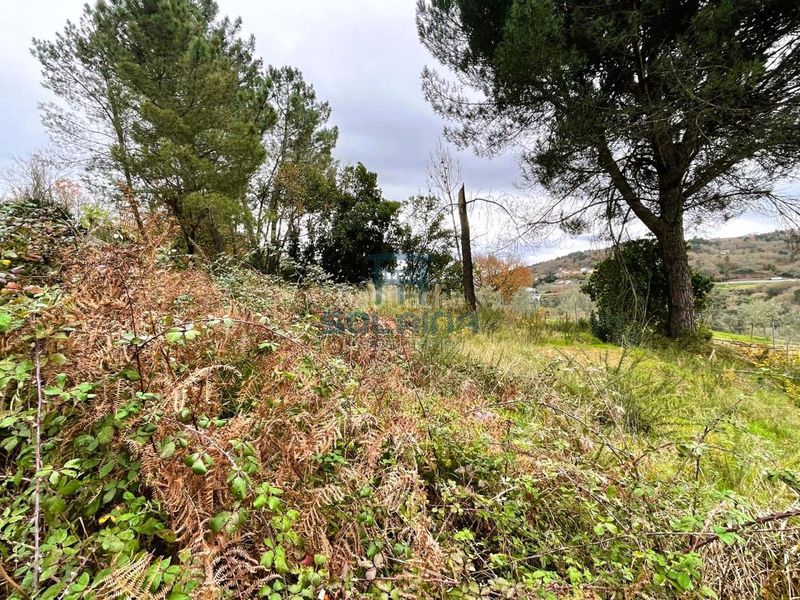 Foto f0fc667e-0fca-47f2-9895-920ab286717d. Finca rústica a Pereiro de Aguiar (O)