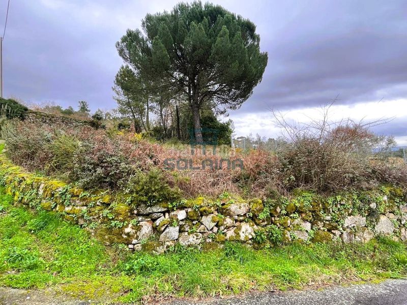 Foto f6459626-07ce-4405-9cbe-5be83f8ce6d5. Finca rústica a Pereiro de Aguiar (O)