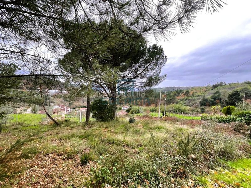 Foto fd5f6141-fc26-473d-9c5f-214128d6e031. Finca rústica a Pereiro de Aguiar (O)