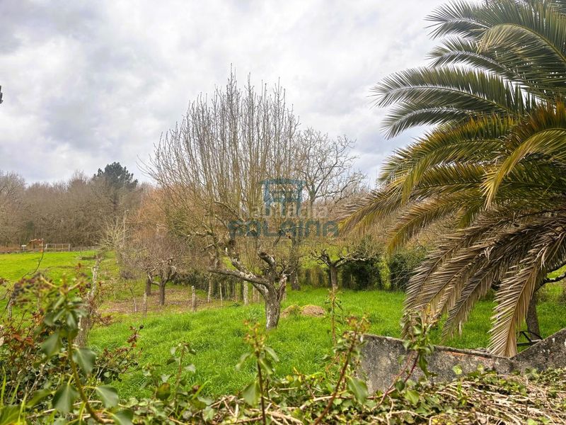 Foto 9d020c5c-6c14-4efc-a71f-f603af8f47ea. Casa a Amoeiro