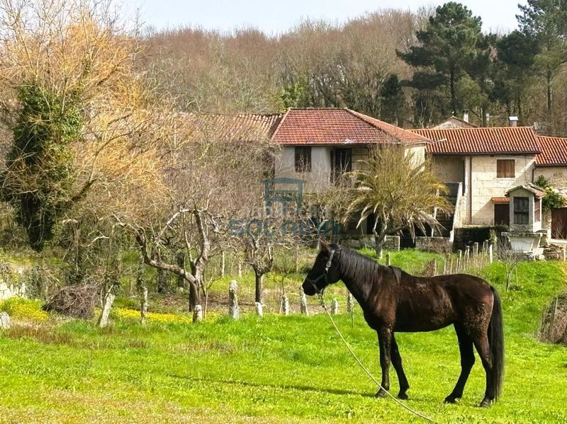 Foto b5abb379-f7b1-4e4c-aaf1-9afac8481ceb. Casa a Amoeiro