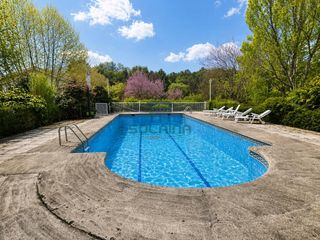 Chalet in Pereiro de Aguiar (O)