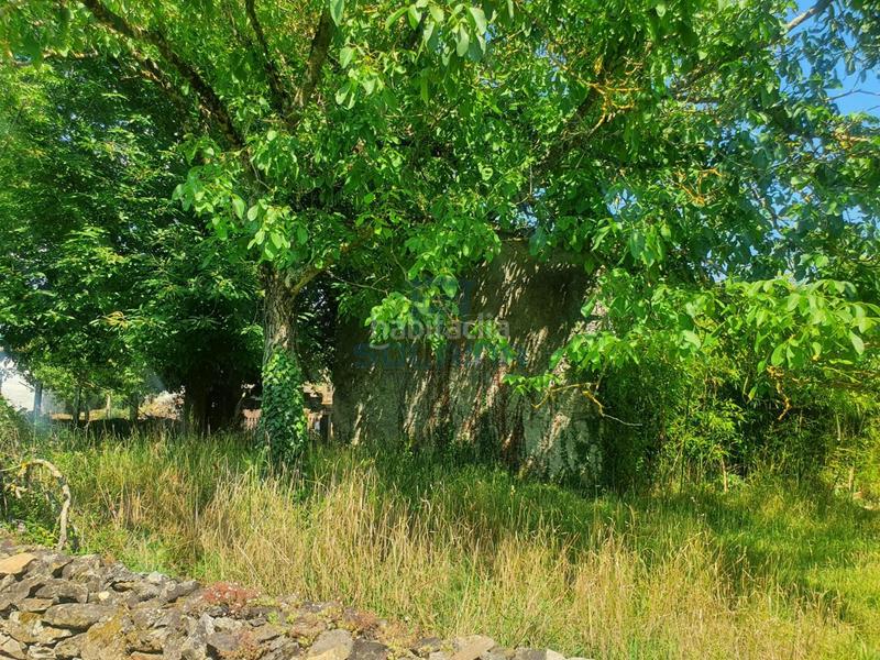 Foto ad6c53d3-20ed-4853-93ca-939eae803ef2. Casa a Merca (A)