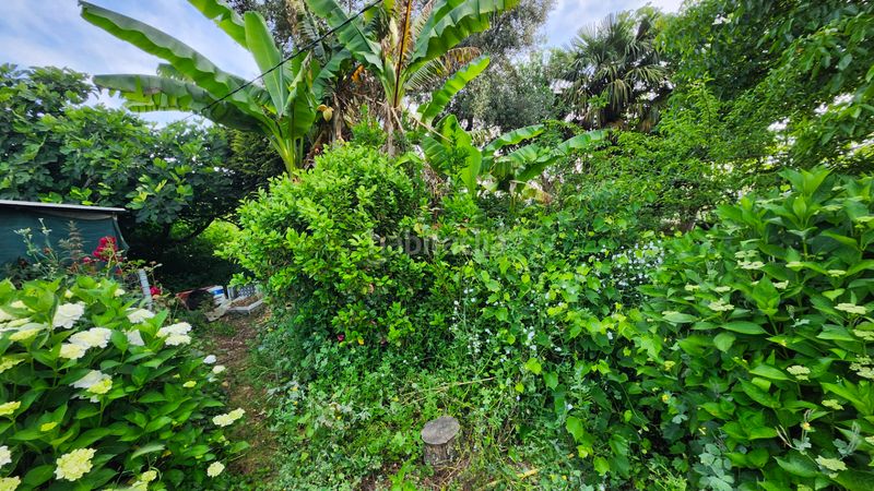 Foto cc94c674-a23e-4374-bbb9-fbe2ff961069. Terreny residencial a Miño