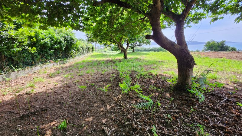 Foto d66466c9-45aa-47a5-86e3-f58b54c570b5. Terreny residencial a Miño