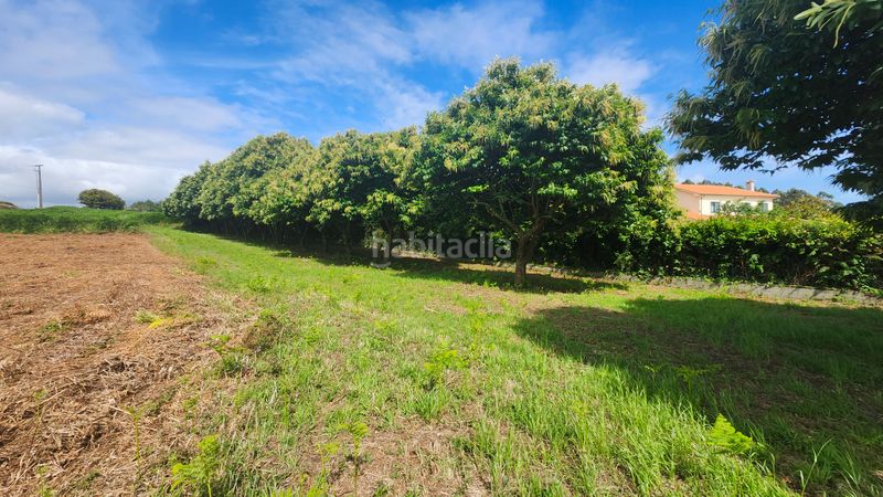 Foto e093acfb-e1ab-496f-a759-02841f08f982. Terreny residencial a Miño