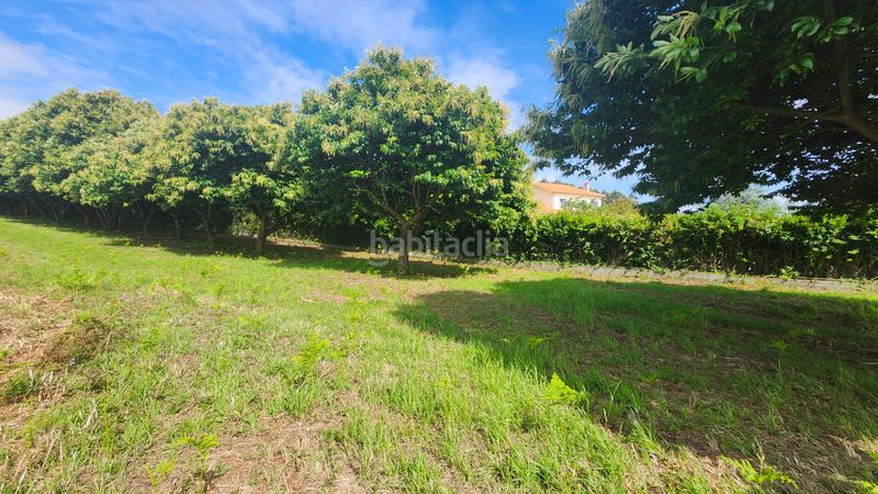 Foto f7ab5e53-f122-410d-a086-fa04e06af6ad. Terreny residencial a Miño