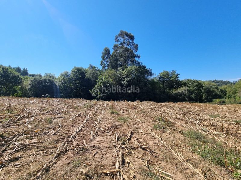 Foto ff8d656c-3926-4501-be97-1b5592de8a61. Terreny residencial a Vilarmaior