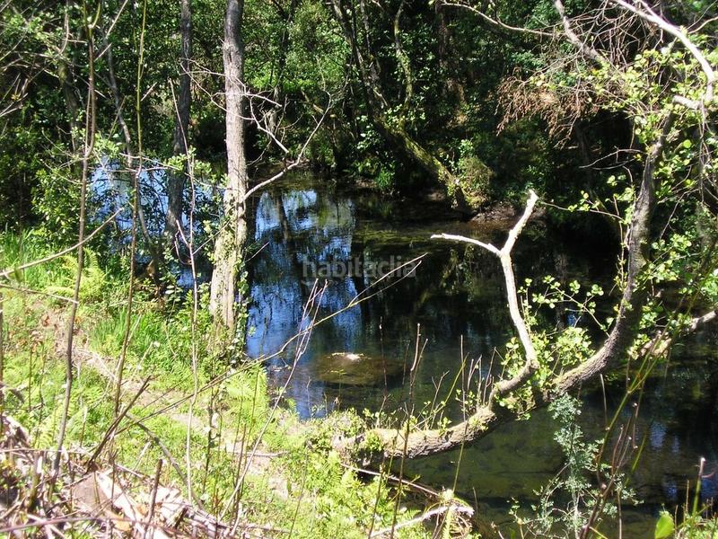 Foto b4ba5f81-169c-4d1b-8c93-d5e4e2936c32. Bauernhof in lugar brea 21 in Boiro