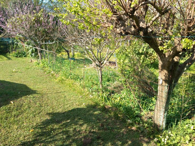 Foto 0fad8c1c-96a6-4df7-a18b-49c63d524850. Casa a rúa arousa 22 a Vilagarcía Vilagarcía de Arousa