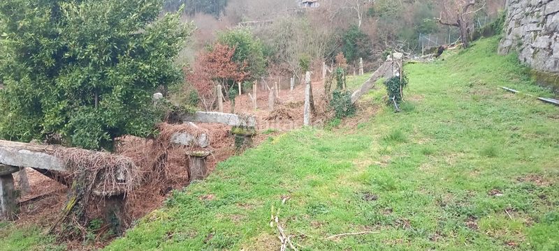 Foto bfc4608f-f600-4f3b-b859-2df4d4817ea1. Casa a Barro