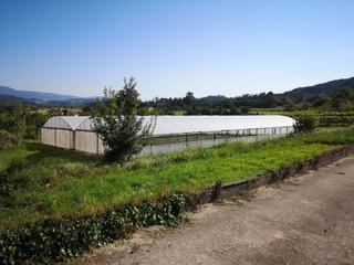 Terreny residencial a N/a. Terreno urbanizable en godos