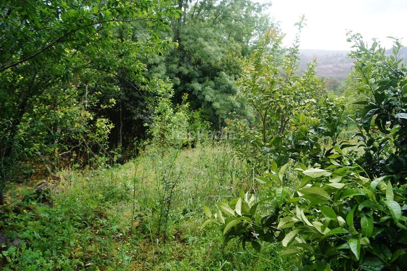 Foto e30175a5-e27a-4c9a-bfa3-e43f29a360ca. Maison dans lugar landeiras 21 dans Boiro