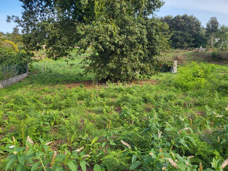 Foto c8b3da41-092c-4747-85e5-7bcca3dd1f6b. Terreno residenziale in Sardoma - Castrelos Vigo