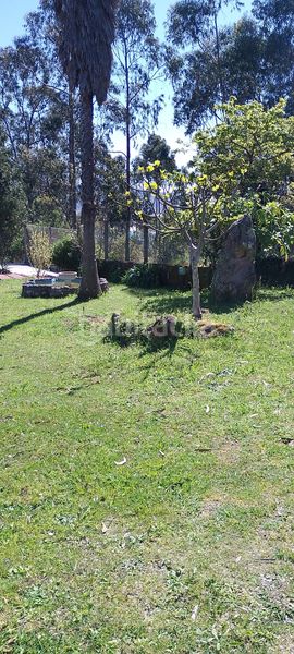 Foto 45509fd0-a180-4e10-b1bc-fae854eed212. Casa en O Hío Cangas