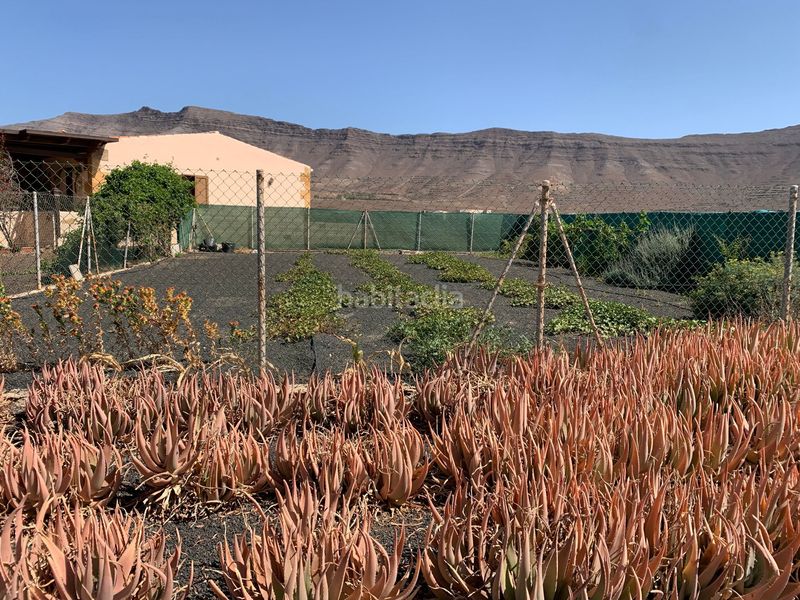 Foto a1a43ff6-af35-4860-8901-806c1fc30d3c. Casa amb aparcament a Tefía - Tetir Puerto del Rosario