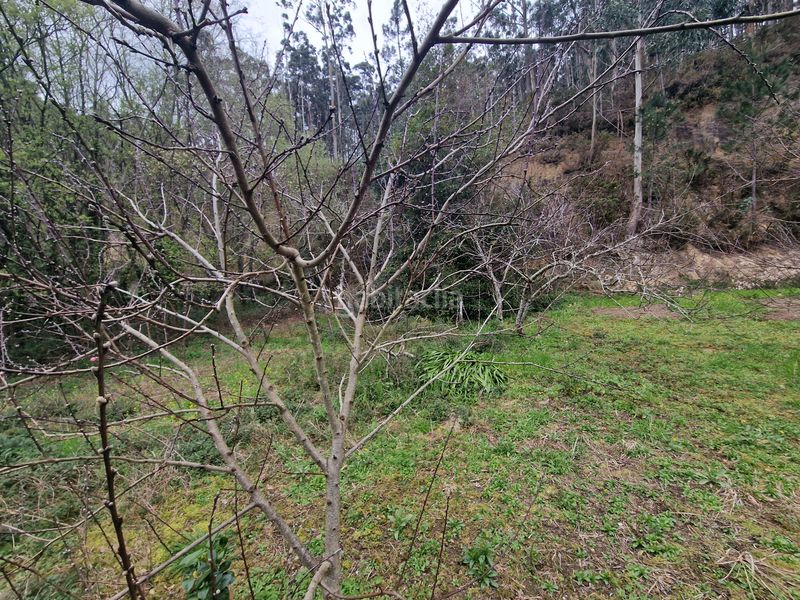 Foto f571eff0-9575-489a-807e-48516852060c. Casa a Sedes - Pedroso - Doso Narón