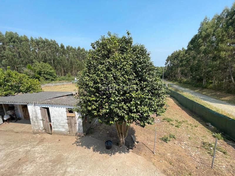 Foto 1d31a6ef-3c14-469a-aadd-8677e68456a3. Maison avec parking dans San Mateo - Castro - O Val Narón
