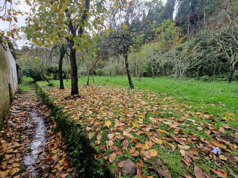 Foto 0043e094-b44b-4b23-845d-1c7a0d2aba02. Haus in Valdoviño