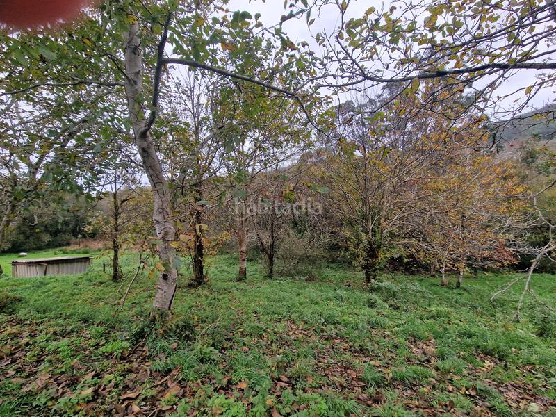 Foto 4e0b05e1-8cd3-418c-98ad-72c024e347a9. Haus in Valdoviño