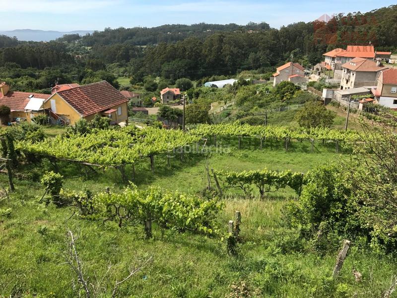 Foto 81046f8e-9dfa-4174-9310-b288ca91a3b5. Finca rústica a Bueu