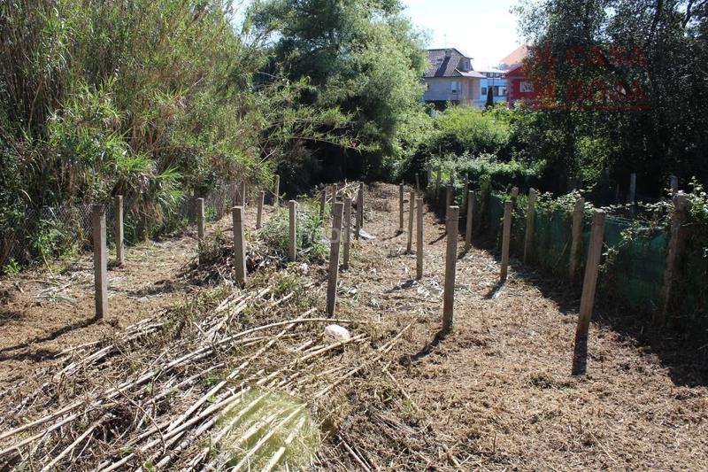 Foto dafe2916-b105-4427-938a-5e7c04baa197. Casa  para reformar do morrazo. en Coiro Cangas