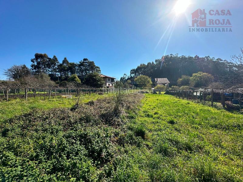 Foto 8bc42f97-2ef1-479b-901f-27dfc42885c3. Finca rústica a Darbo Cangas