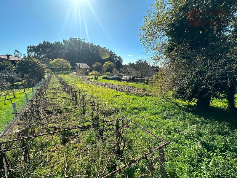 Foto d6864ea4-f4aa-4dda-a24f-8cc71846f338. Finca rústica a Darbo Cangas