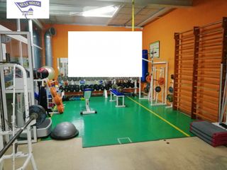 Business premise in Centro