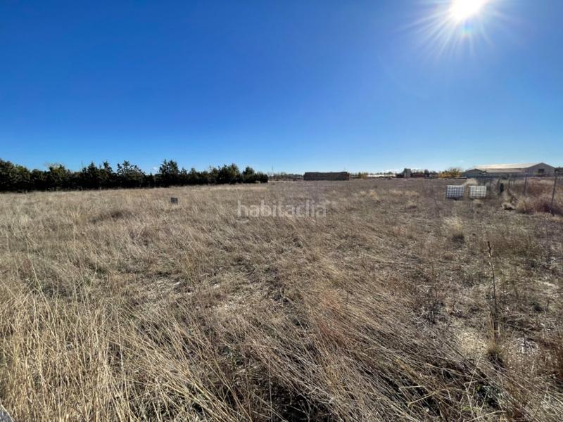 Foto c83389ef-0686-4820-9ff7-5c34f3f55dd9. Terreno residenziale in Pedanías - Extrarradio Albacete