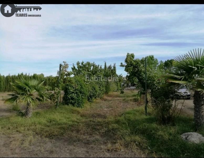 Foto 55c96615-c5ab-44ef-aac7-502a06034d0a. Finca rústica inmobiliaria tejares vende parcela ctra jaen en Albacete