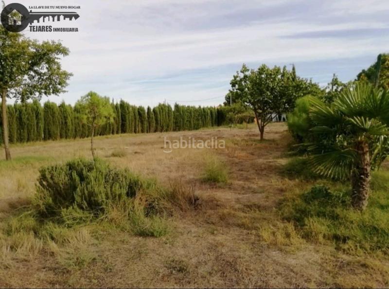 Foto c96a0511-4180-4f9e-952f-4bdfb6fadfce. Finca rústica inmobiliaria tejares vende parcela ctra jaen en Albacete