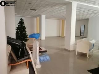 Business premise in Parque Sur