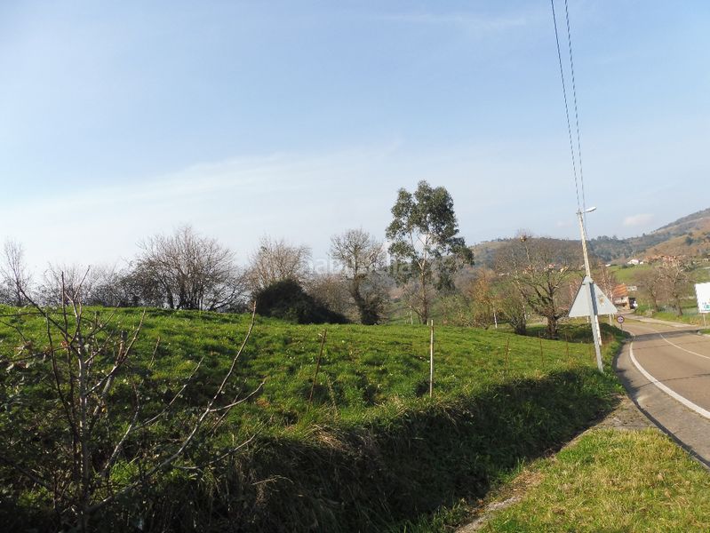 Foto 4577a356-c397-4cef-9ee7-5768ad0be89c. Terreny residencial a Penagos