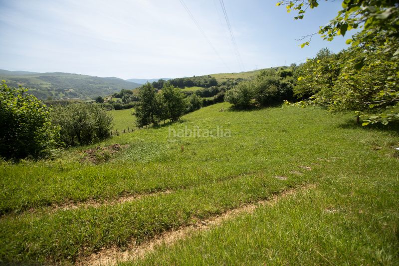 Foto aca42bd3-50ae-4139-8f16-51d0bb0d3b1e. Finca rústica a calle palacio 1006 a Arenas de Iguña