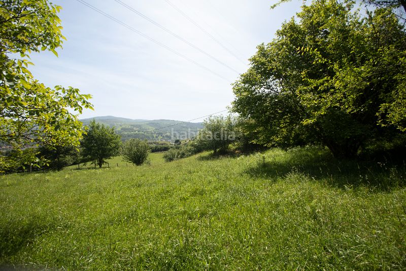 Foto f6b88633-0086-4316-8057-4c2b6ca62f49. Finca rústica a calle palacio 1006 a Arenas de Iguña
