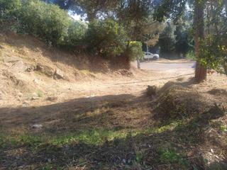 Terreno residencial en Carrer de la Petúnia 30