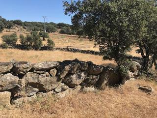 Country house in Casco Antiguo
