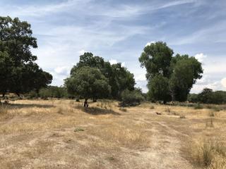 Casale in Nombela