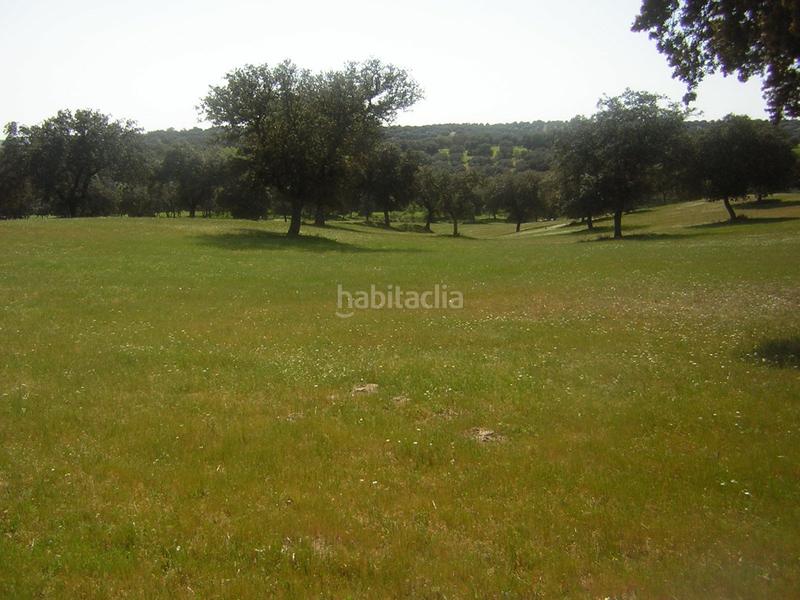 Foto 9824aaec-2001-4722-8cdb-eb993a715c59. Masia a Nombela