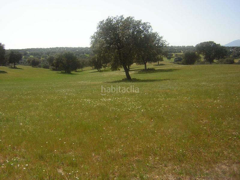 Foto c400c7ed-0213-49f4-9fb4-90bb59597fef. Masia a Nombela