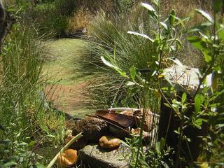 Country house en Almorox