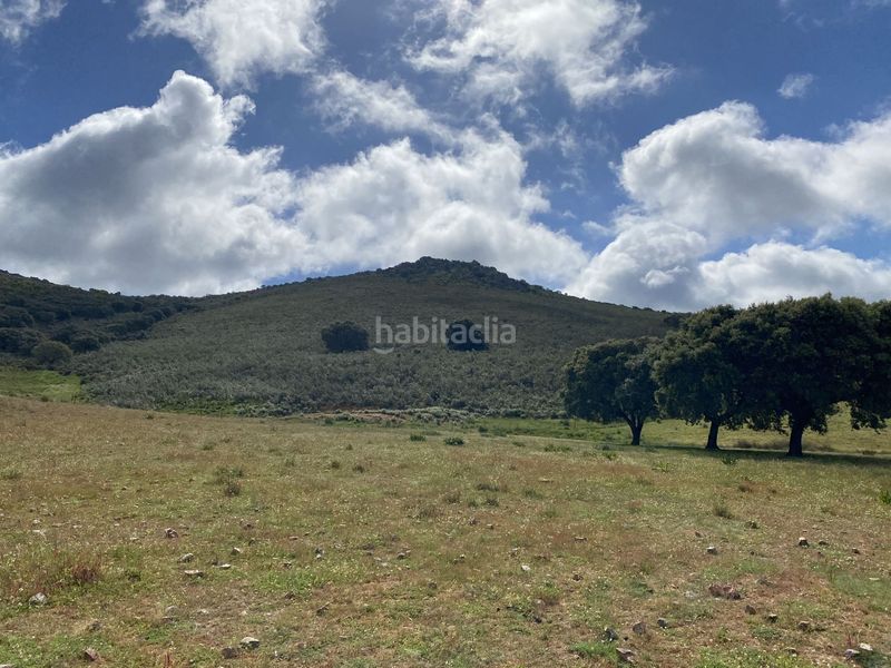 Foto a99fc51f-8279-459f-b313-cfdb2db38575. Fondo rustico in Deleitosa