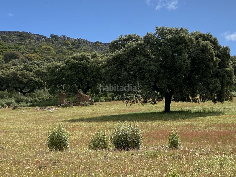 Foto d20f27d6-c479-464a-913b-a78bef2fc58b. Fondo rustico in Deleitosa
