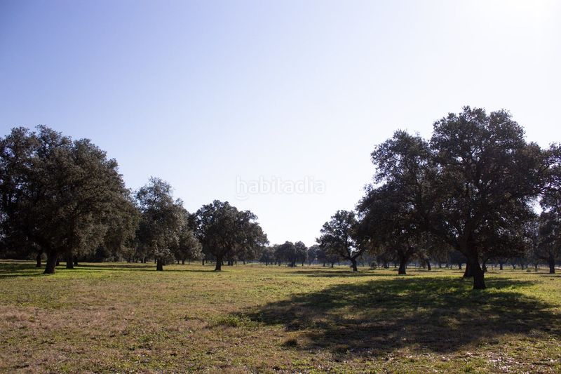 Foto b8a3418e-d4aa-4353-954e-734d3f9ff0f2. Fondo rustico in Torralba de Oropesa