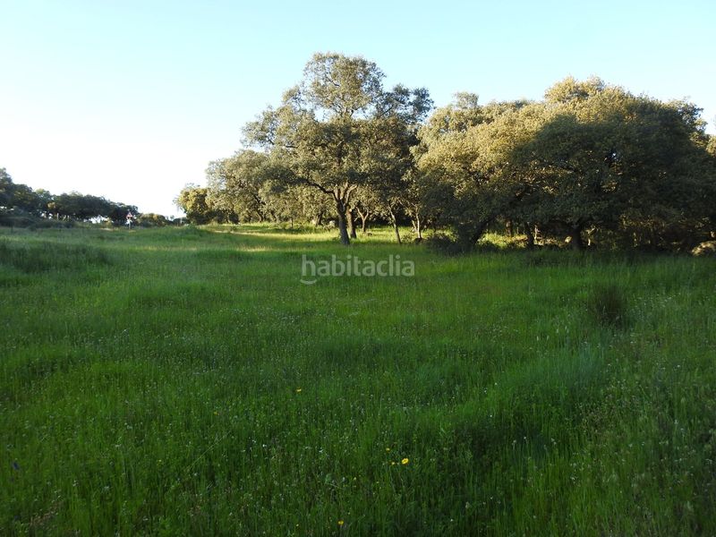 Foto 0cff10d7-0deb-45ae-bb02-e756120480d2. Fondo rustico in Cervera de los Montes