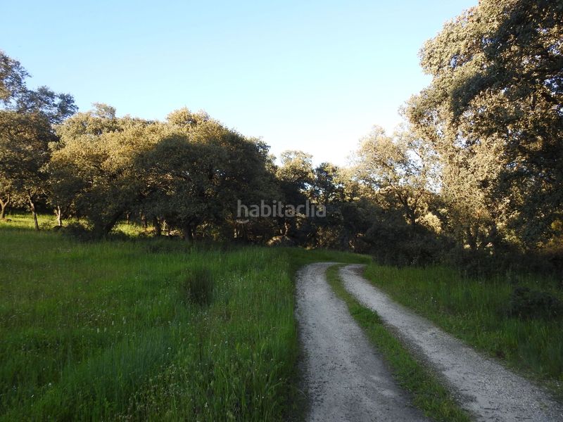 Foto e258fb34-dde0-418c-a3d6-b4fc6b6b93c1. Fondo rustico in Cervera de los Montes